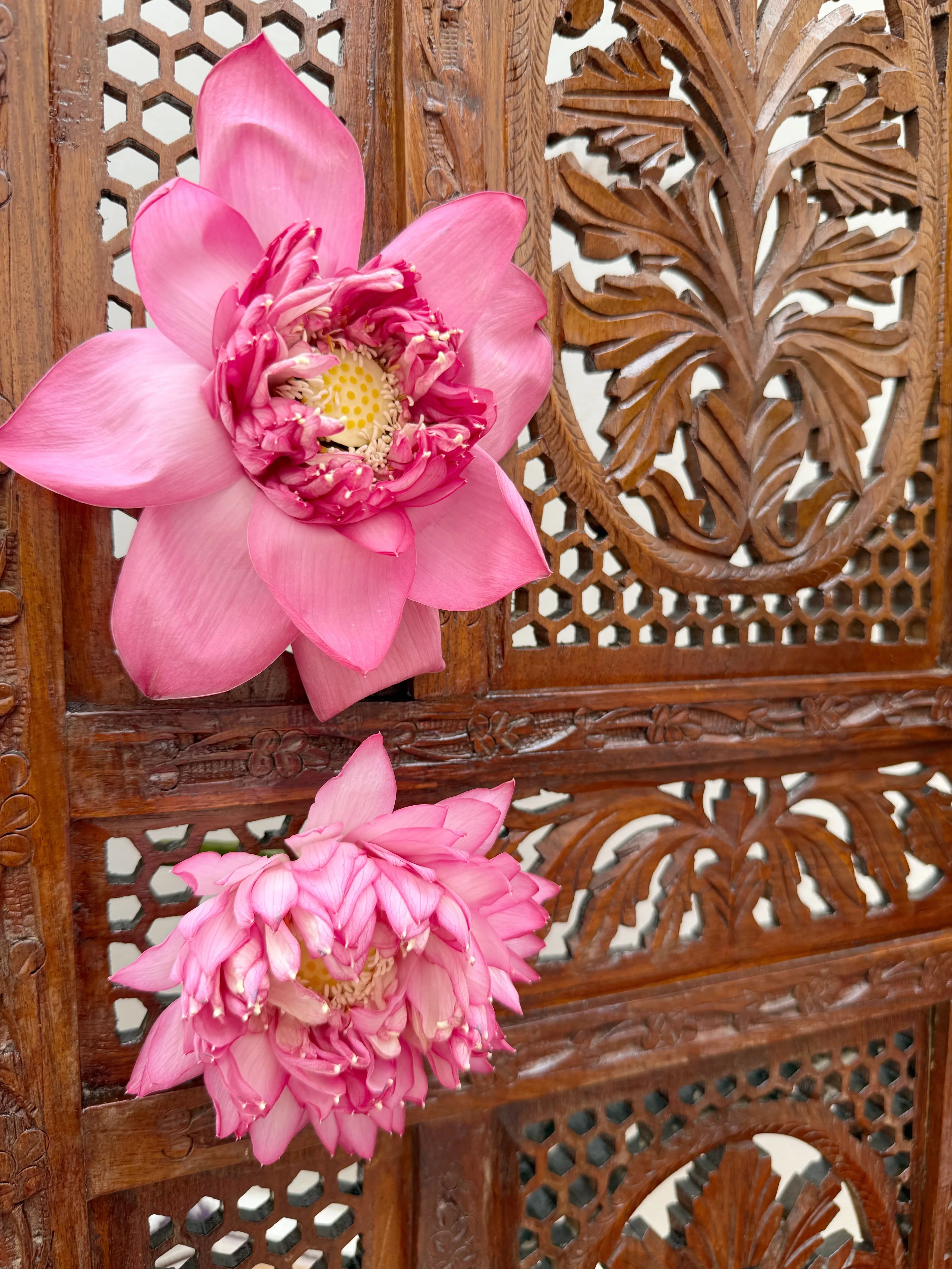 Karnphool Earcuffs - Jhaanjhariya