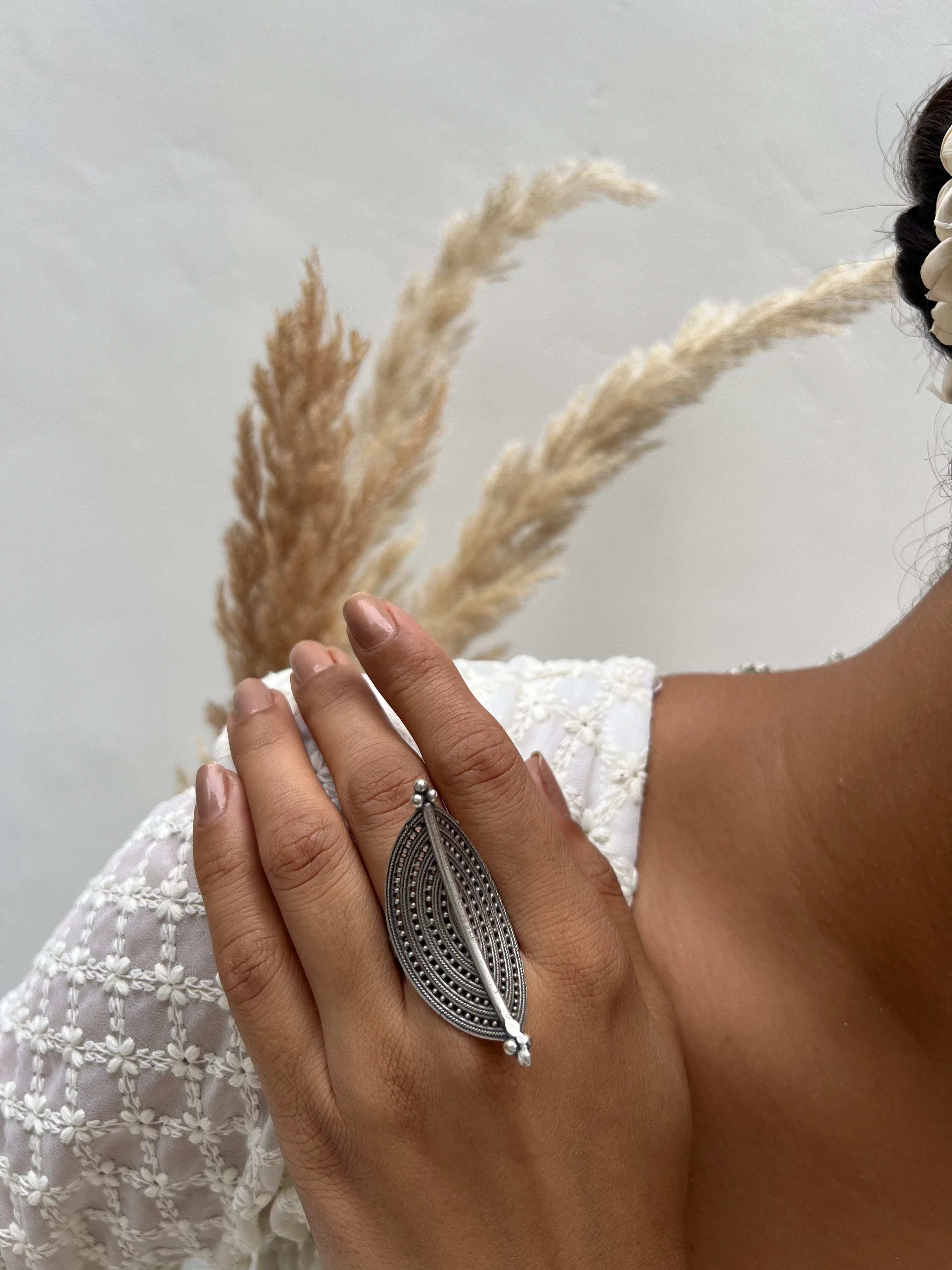 Rajeshri - Jhaanjhariya