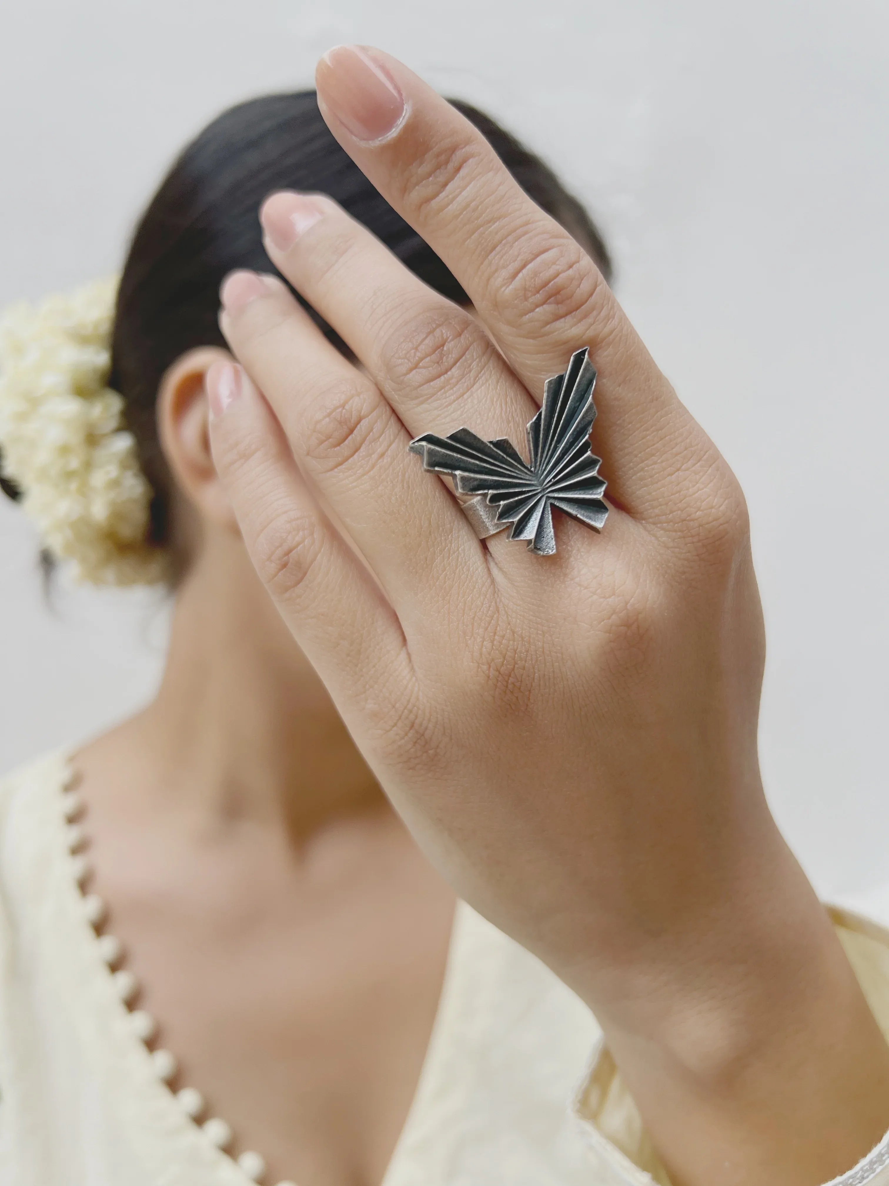 Dhristi - Jhaanjhariya